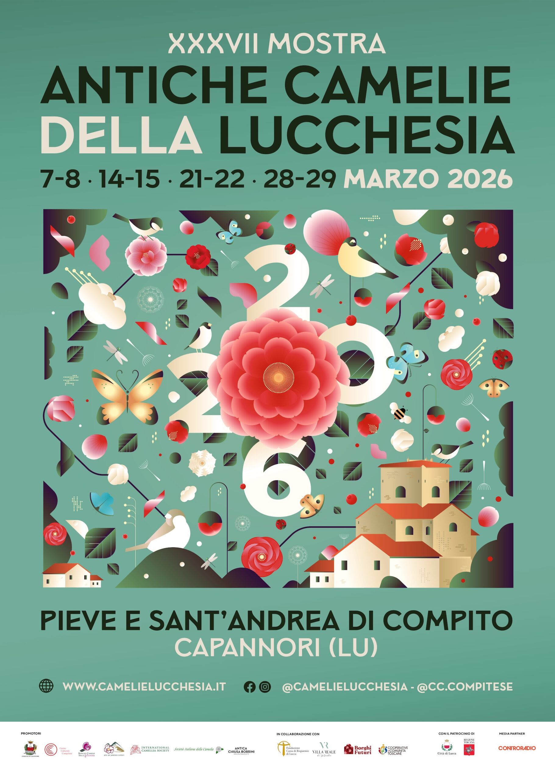 IN MOSTRA LE ANTICHE CAMELIE DELLA LUCCHESIA