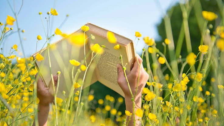 Pistoia Capitale Italiana del Libro 2026: nella Foresta dell’Acquerino tornano “Pagine all’aperto โ Libri nel bosco” e le serate di osservazione del cielo